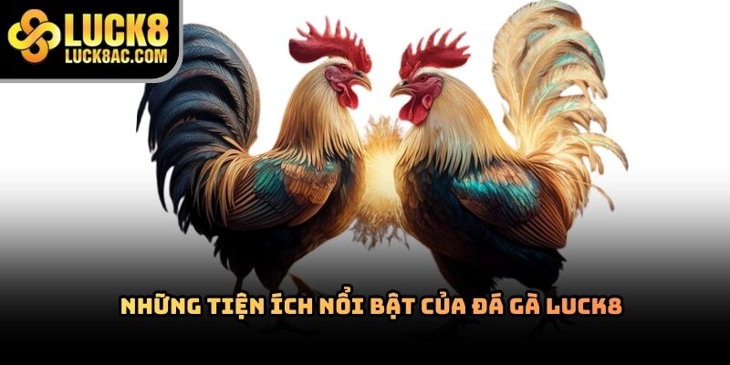 Đá gà Luck8
